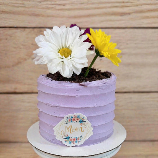 Cake Decorating Workshop - Saturday, May 9th - 10AM-12PM
